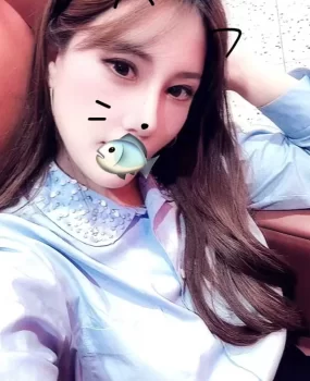 昆明倩倩北市区推荐